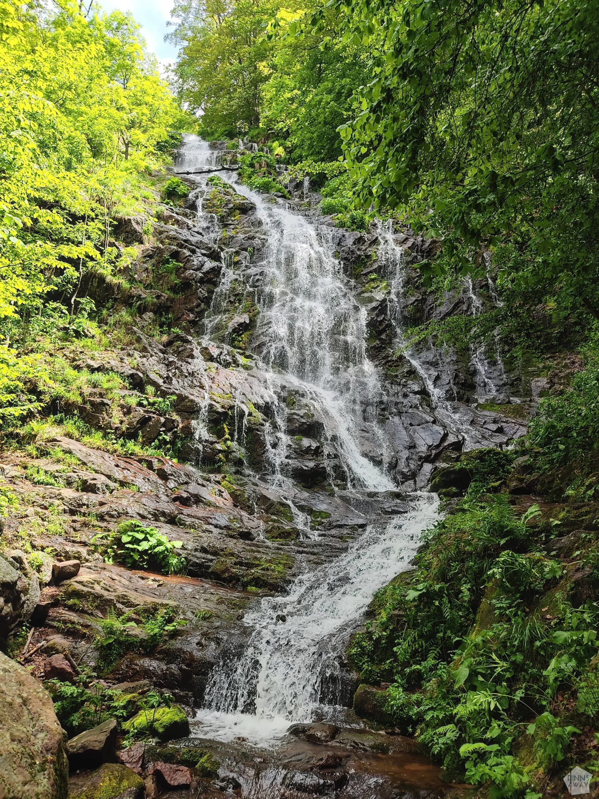 Hiking trails and national parks in East Serbia